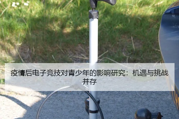 yi-qing-hou-dian-zi-jing-ji-dui-qing-shao-nian-de-ying-xiang-yan-jiu-ji-yu-yu-tiao-zhan-bing-cun-2-939.jpg