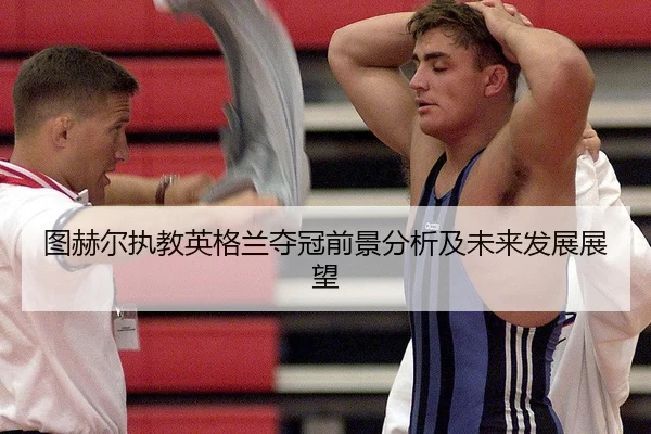 tu-he-er-zhi-jiao-ying-ge-lan-duo-guan-qian-jing-fen-xi-ji-wei-lai-fa-zhan-zhan-wang-2-633.jpg